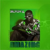 Slash - Amazing