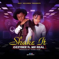 OzzyBee - Shake It (feat. Mr. Real)