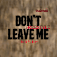 Shaggywiz🎵 - DON'T LEAVE ME_FREESTYLE