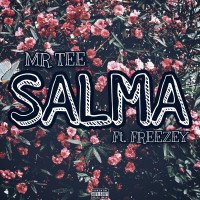 Mr Tee - Salma (feat. Freezey)