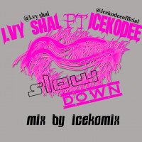 I.vy shal - Slow Down (feat. icekodee)