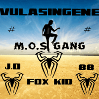 M.O.S GANG #Crazy fox kid - Vulasingene