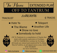 Tu Mane - The Blame