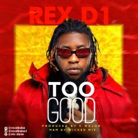 Rex D1 - Too Good (Prod. By CMajor) [NaijaTopvibes.com]
