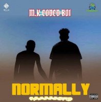 M.k coded boi - Normally