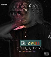 Blizwill - Surulere (Cover)
