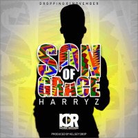 Harry Z - Son Of Grace