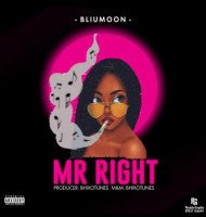 Bliu Moon - Mr Right