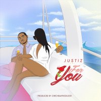 Justiz - For You