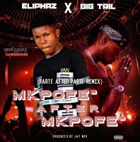 Leo Eliphaz - Mkpofe After Mkpofe" (Parte After Parte Remix)