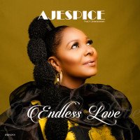 Aje Spice - Endless Love