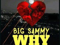 Big sammy - WHY