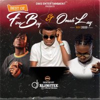 Fireboy X OMAH LAY - DJ Slimitee Best Of Fireboy X Omah Lay 2020 Mix