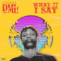 Fireboy DML - What If I Say
