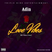 Adin - LOVE VIBES