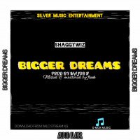 Shaggywiz sings - BIGGER DREAMS