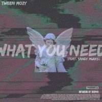 Tween Mozy ft Sandy Murks - What You Need