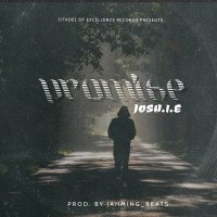 Josh.ie - Promise