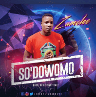 Samuel zamolee - So Dowomo