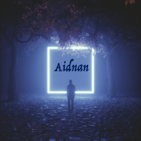Aidnan Brown - Feeling D Boy