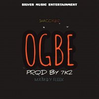 Shaggywiz sings - OGBE