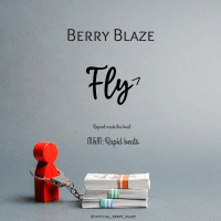 Berry Blaze - Fly
