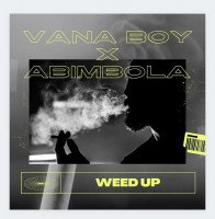 Vana Boy - Weed Up