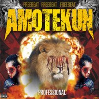 Oluwa rizzy ft professional - Freebeat Amotekun