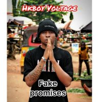 Hk Boy Voltage - Fake Promises