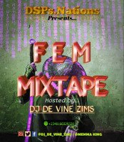DJ DE VINE ZIMS - FEM MIXTAPE