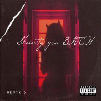 Remykid - Shawty You Bitch