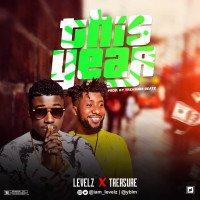 levelz - This Year|wildstream.com.ng