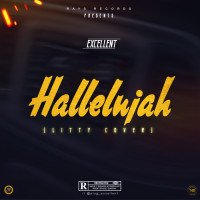 Excellent - Hallelujah (litty Cover)