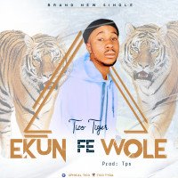 Tico Tiger - Like Play Like Play - Ekun Fe Wole