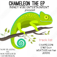 Single - Chameleon
