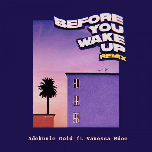 Adekunle Gold - Before You Wake Up (Remix) (feat. Vanessa Mdee)