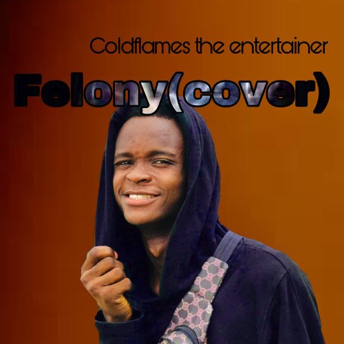 Coldflames the entertainer - Felony(cover)