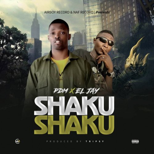 PDM ft ElJAY - Shaku Shaku