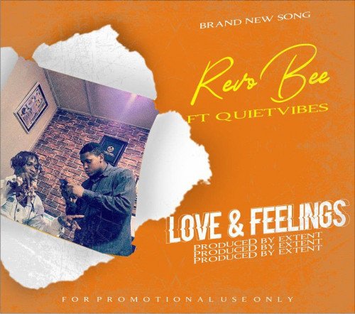 REVOBEE - Love & Feelings