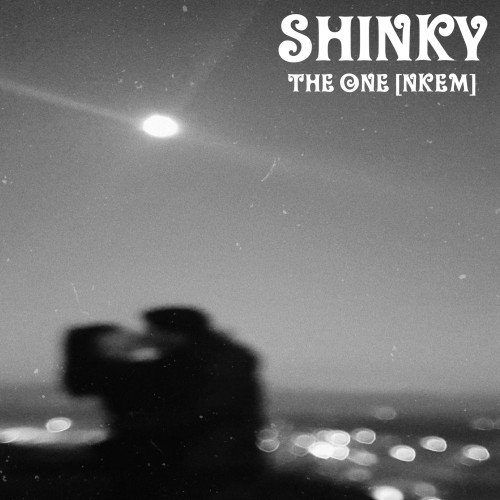Shinky - The One(Nkem)