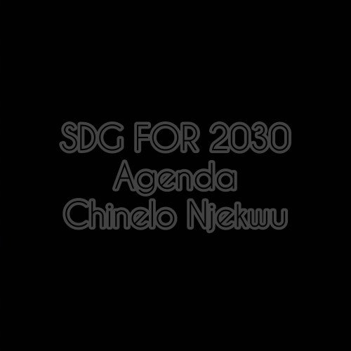 CHINELO NJEKWU - SDG FOR 2030 AGENDA ( IT IS POSSIBLE )