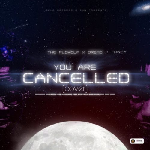 The Flowolf X Dremo X Fancy Riddle - YOU ARE CANCELLED (cover)