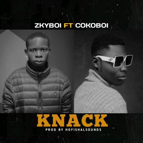 Zkyboi - Knack