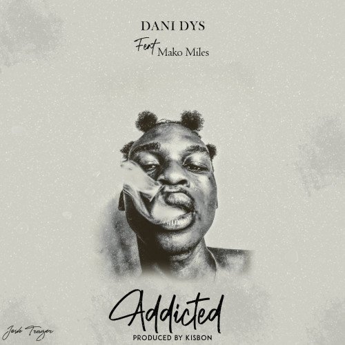 Dani DYS - ADDICTED