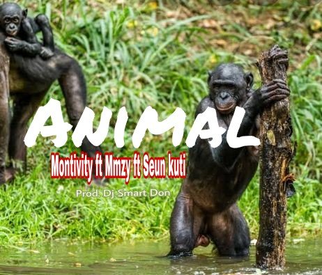 MONTIVITY - Animal :-Montivity Ft Mmzy Ft Seun Kuti