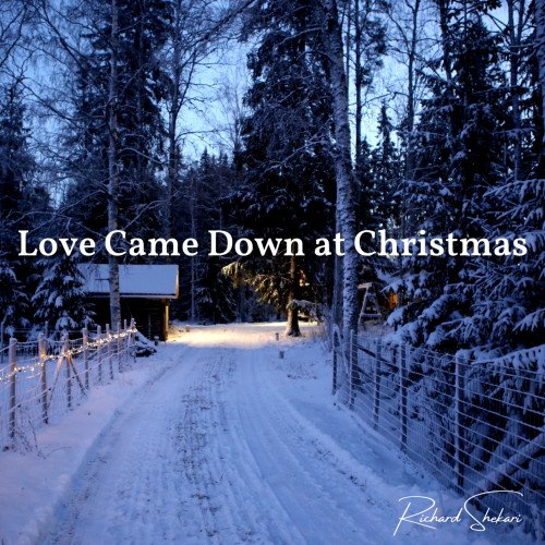 Richard Shekari - Love Came Down At Christmas