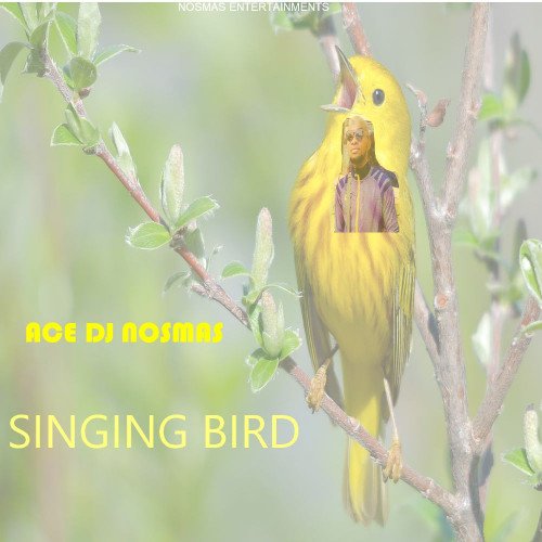 Ace DJ Nosmas - Singing Bird