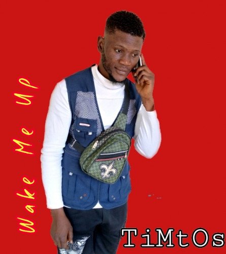 Timtos - Wake Me Up - Magicng.Com