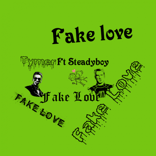 Tymer ft steadyboy - Fake Love