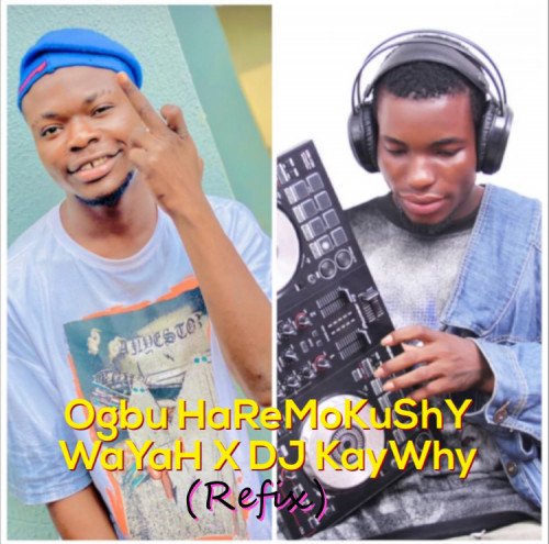 Ogbu-haremokushy-wayah-x-dj-kaywhy-refix-wildstream.ng - Omo Owo